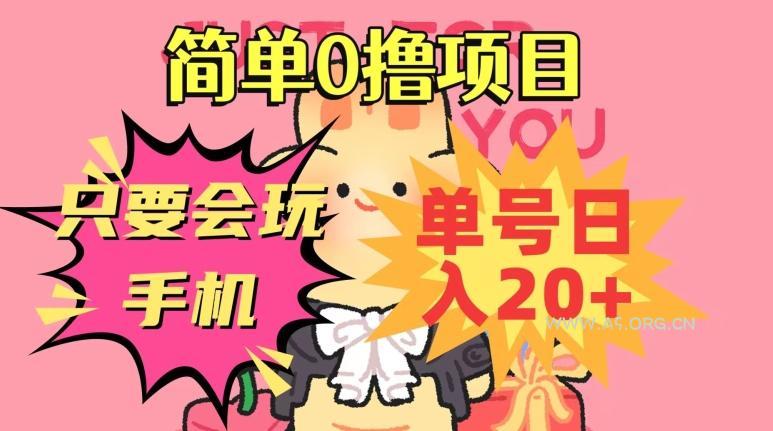 简单0撸项目,只要会玩手机,单号日入20+,新手小白也能操作-小红泡