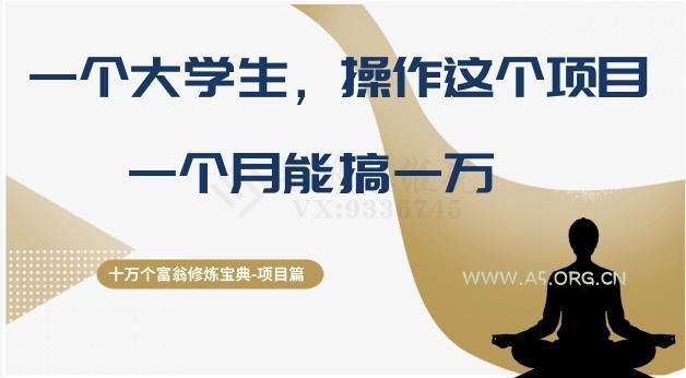 十万个富翁修炼宝典之4.一个大学生操作这个项目,一个月能搞一万-小红泡