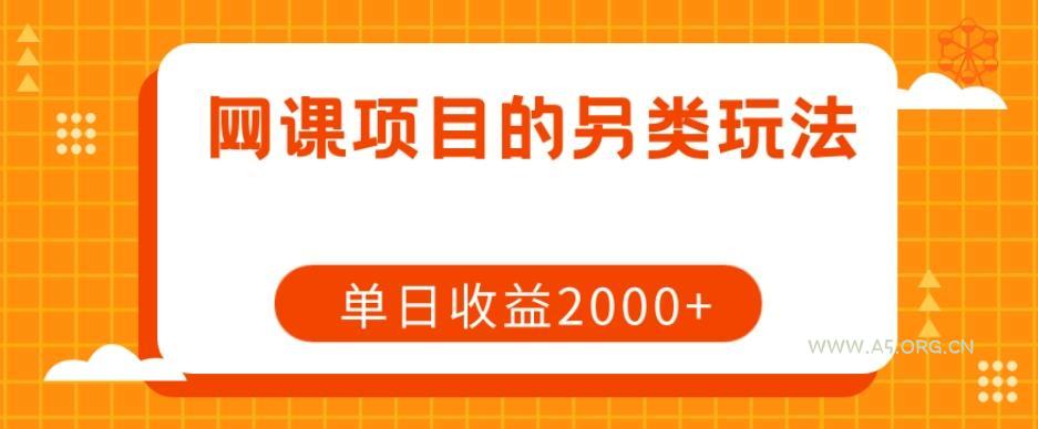 网课项目的另类玩法，单日收益2000+【揭秘】-小红泡