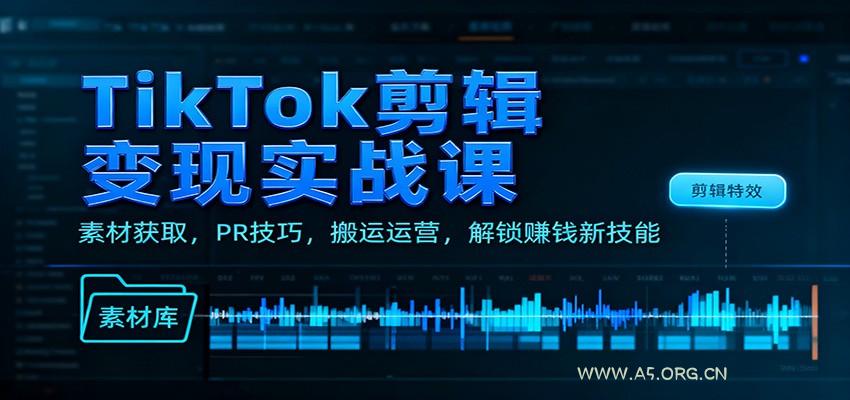 TikTok剪辑变现实战课：素材获取，PR技巧，搬运运营，解锁赚钱新技能-小红泡