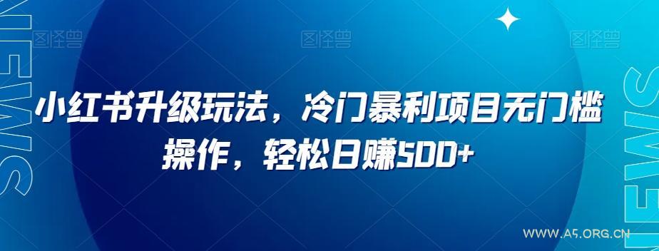 小红书升级玩法，冷门暴利项目无门槛操作，轻松日赚500+【揭秘】-小红泡