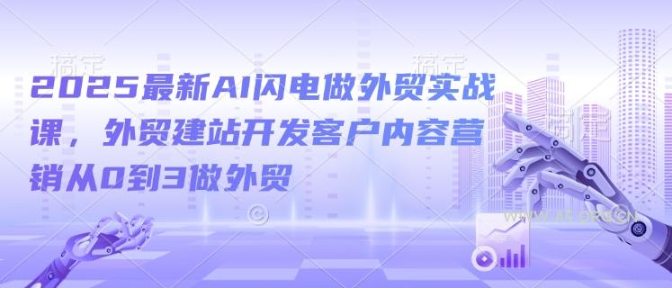 2025最新AI闪电做外贸实战课,外贸建站开发客户内容营销从0到3做外贸-小红泡