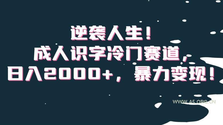 逆袭人生!成人识字冷门赛道,日入2000+,暴力变现!【揭秘】-小红泡