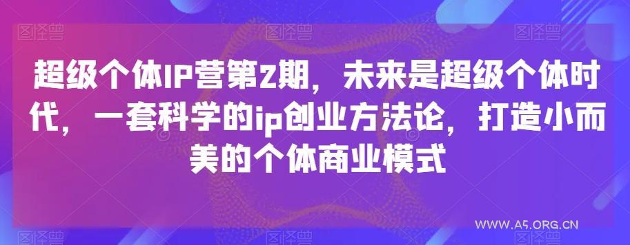 超级个体IP营第2期,未来是超级个体时代,一套科学的ip创业方法论,打造小而美的个体商业模式-小红泡