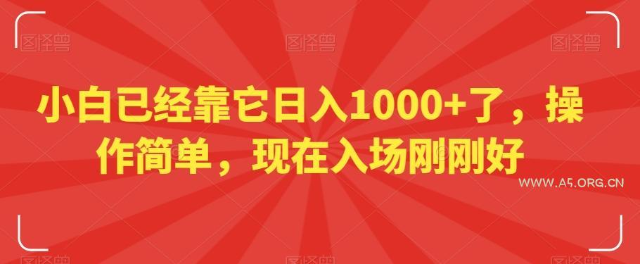 小白已经靠它日入1000+了,操作简单,现在入场刚刚好【揭秘】-小红泡