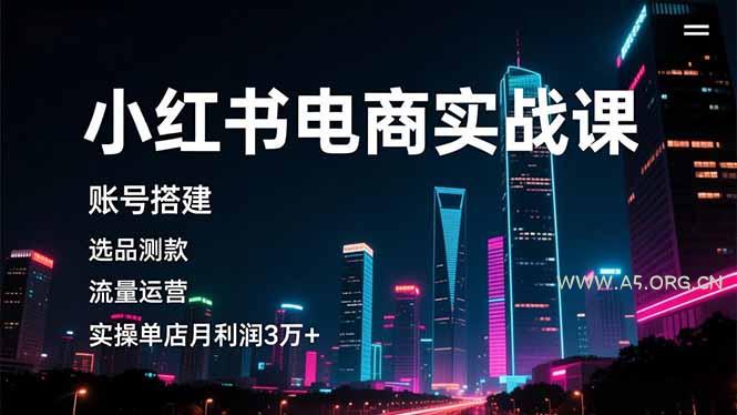 小红书电商实战课，账号搭建，选品测款，流量运营，实操月利润3万+-小红泡
