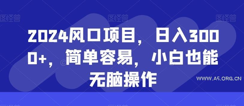 2024风口项目,日入3000+,简单容易,小白也能无脑操作-小红泡