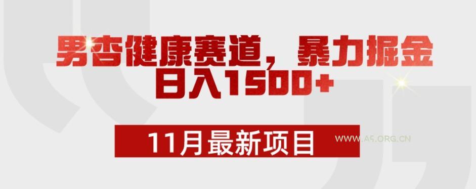 11月最新项目，男杏健康赛道，暴力掘金，日入1500+-小红泡