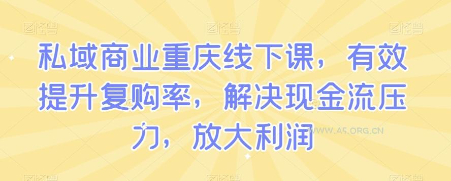 私域商业重庆线下课，有效提升复购率，解决现金流压力，放大利润-小红泡