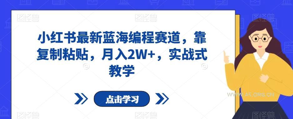 小红书最新蓝海编程赛道,靠复制粘贴,月入2W+,实战式教学【揭秘】-小红泡
