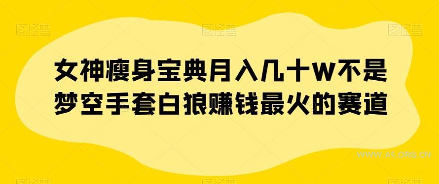女神瘦身宝典月入几十W不是梦空手套白狼赚钱最火的赛道【揭秘】-小红泡