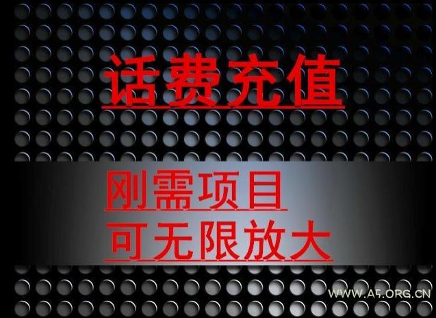 最新蓝海项目,刚需赛道,95折充话费月入5位数-小红泡