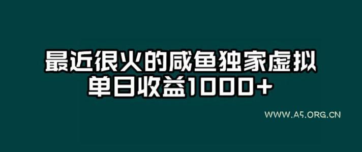 最近很火的咸鱼独家虚拟,单日收益1000+-小红泡