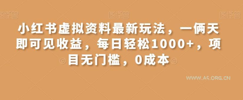 小红书虚拟资料最新玩法,一俩天即可见收益,每日轻松1000+,项目无门槛,0成本-小红泡