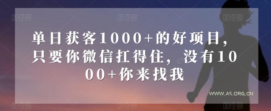 单日获客1000+的好项目，只要你微信扛得住，没有1000+你来找我【揭秘】-小红泡