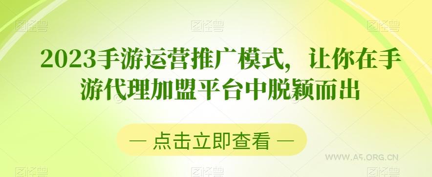 2023手游运营推广模式，让你在手游代理加盟平台中脱颖而出-小红泡