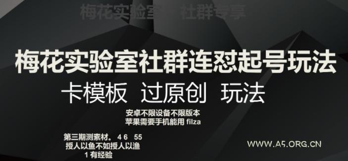 梅花实验室社群连怼起号玩法,卡模板过原创玩法【揭秘】-小红泡