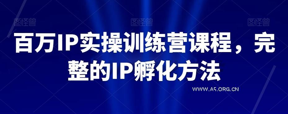 百万IP实操训练营课程，完整的IP孵化方法-小红泡