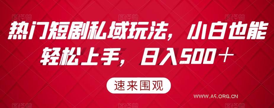 热门短剧私域玩法，小白也能轻松上手，日入500＋-小红泡