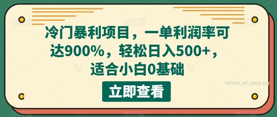 冷门暴利项目,一单利润率可达900%,轻松日入500+,适合小白0基础-小红泡