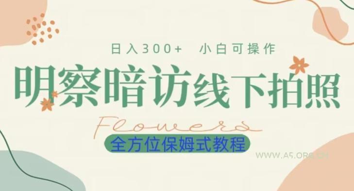 明拍暗拍项目0成本投入日入300+小白可操作保姆式全方位教程-小红泡
