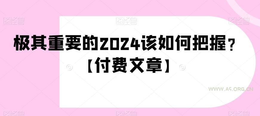 极其重要的2024该如何把握？【付费文章】-小红泡