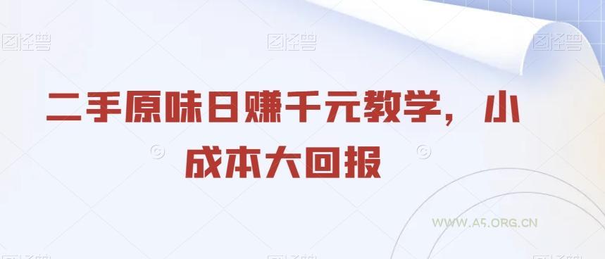二手原味日赚千元教学，小成本大回报-小红泡