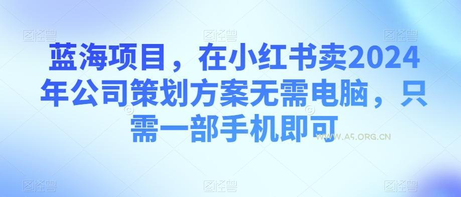 蓝海项目,在小红书卖2024年公司策划方案无需电脑,只需一部手机即可-小红泡