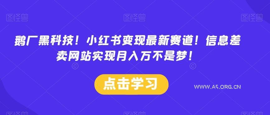 鹅厂黑科技！小红书变现最新赛道！信息差卖网站实现月入万不是梦！-小红泡