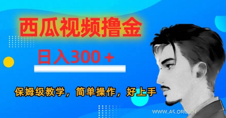 西瓜视频撸金日入300，保姆级教学，简单操作，好上手-小红泡