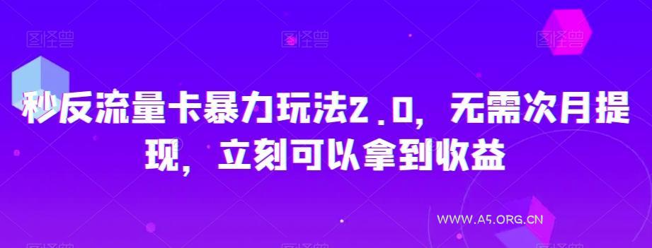秒反流量卡暴力玩法2.0，无需次月提现，立刻可以拿到收益【揭秘】-小红泡