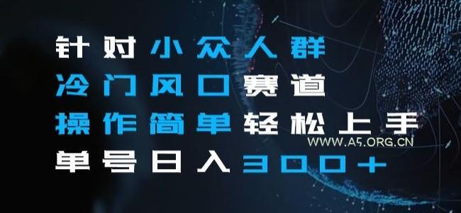 针对小众人群冷门风口赛道，操作简单轻松上手单号日入300+-小红泡