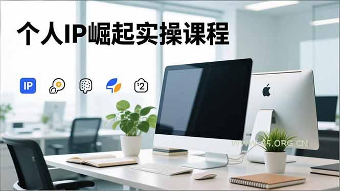个人IP崛起实操课程,IP思维塑造+赛道精准调研+账号高变现搭建+内容创作-小红泡