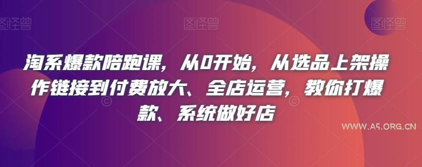 淘系爆款陪跑课,从0开始,从选品上架操作链接到付费放大、全店运营,教你打爆款、系统做好店-小红泡