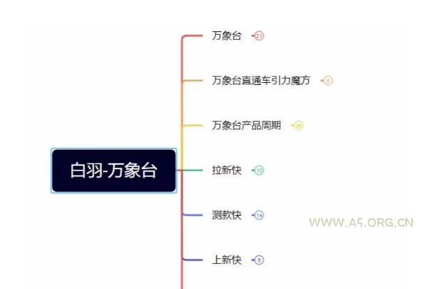 白羽·直引万搜索全篇，从0-1，多个类目实操经验总结付费-小红泡