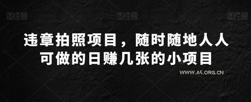 违章拍照项目，随时随地人人可做的日赚几张的小项目-小红泡