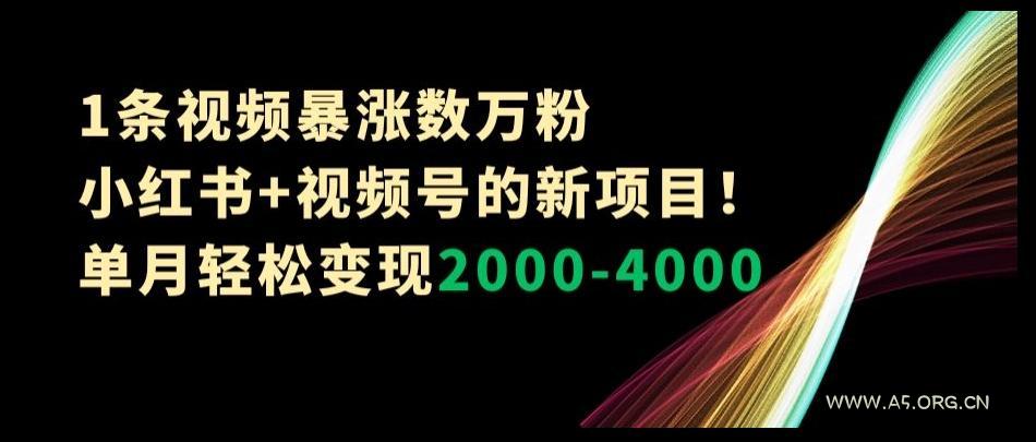1条视频暴涨数万粉--小红书+视频号的新项目！单月轻松变现2000-4000【揭秘】-小红泡