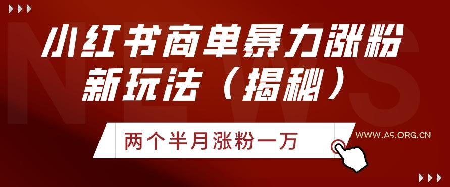 小红书商单暴力涨粉新玩法两个半月涨粉一万（揭秘）-小红泡