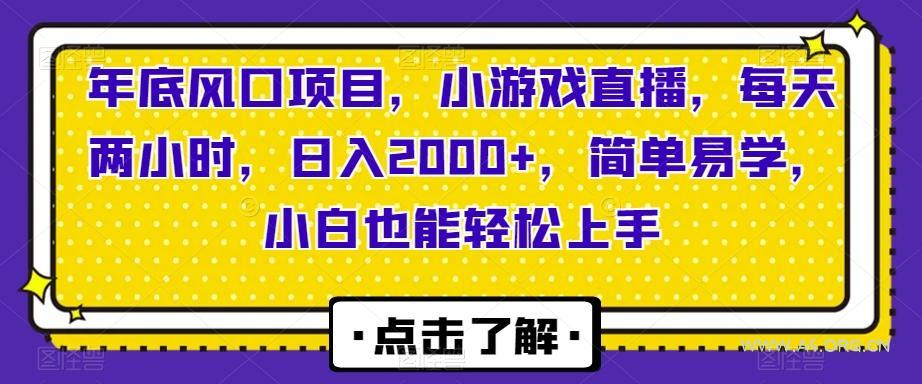 年底风口项目,小游戏直播,每天两小时,日入2000+,简单易学,小白也能轻松上手-小红泡