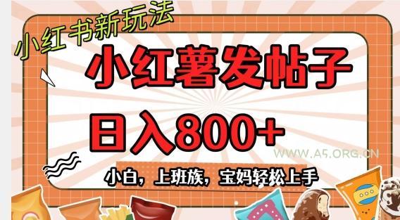 小红薯发日常帖子，日入800+小白专属项目可批量操作-小红泡