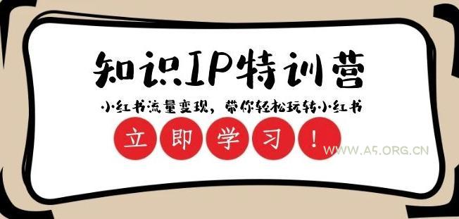 知识IP特训营 ：小红书-流量变现，带你轻松玩转小红书（23节视频课）-小红泡