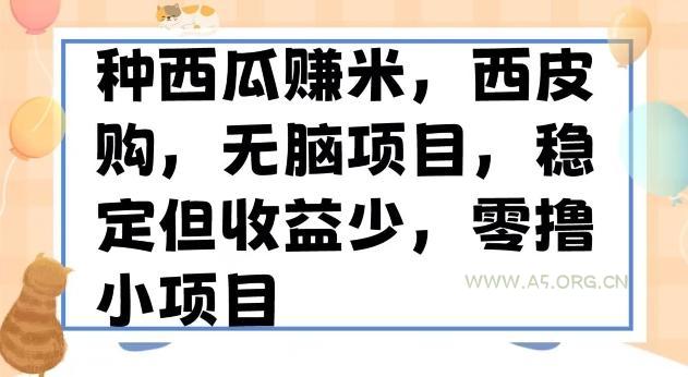 种西瓜赚米,西皮购稳定长久零撸小项目-小红泡