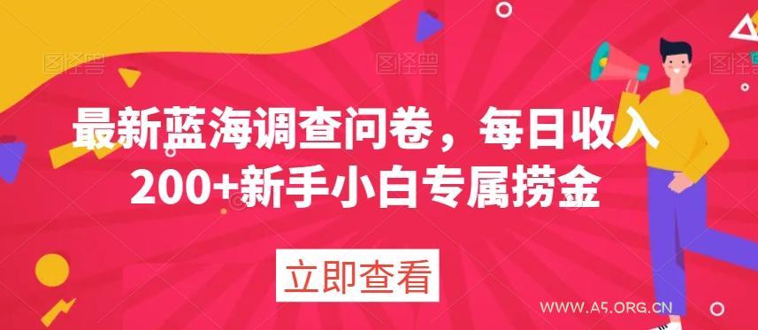 最新蓝海调查问卷,每日收入200+新手小白专属捞金-小红泡