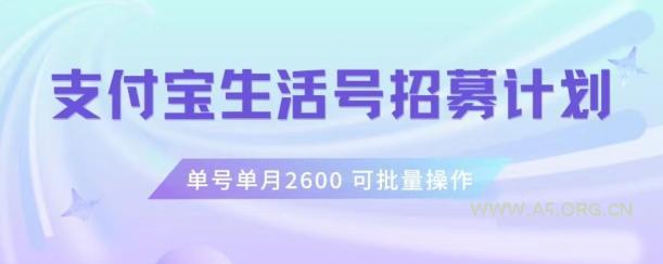 支付宝生活号作者招募计划，单号单月2600，可批量去做，工作室一人一个月轻松1w+【揭秘】-小红泡