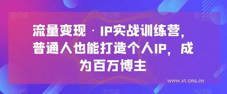 流量变现·IP实战训练营,普通人也能打造个人IP,成为百万博主-小红泡