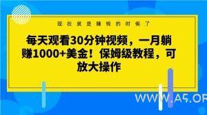 每天观看30分钟视频,一月躺赚1000+美金!保姆级教程,可放大操作【揭秘】-小红泡