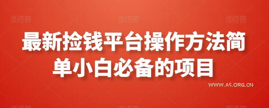 最新捡钱平台操作方法简单小白必备的项目-小红泡