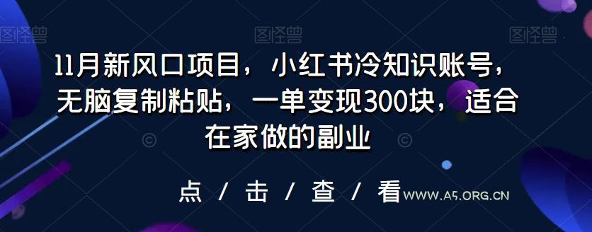 11月新风口项目,小红书冷知识账号,无脑复制粘贴,一单变现300块,适合在家做的副业-小红泡