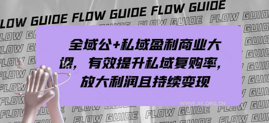 全域公+私域盈利商业大课，有效提升私域复购率，放大利润且持续变现-小红泡