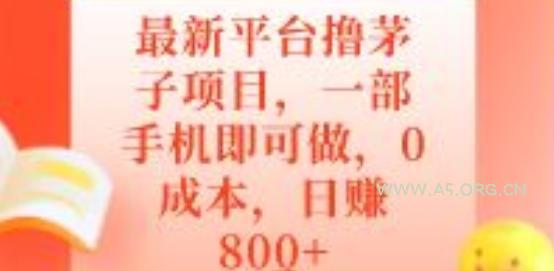 最新平台撸茅子项目，一部手机即可做，0成本，日赚800+-小红泡